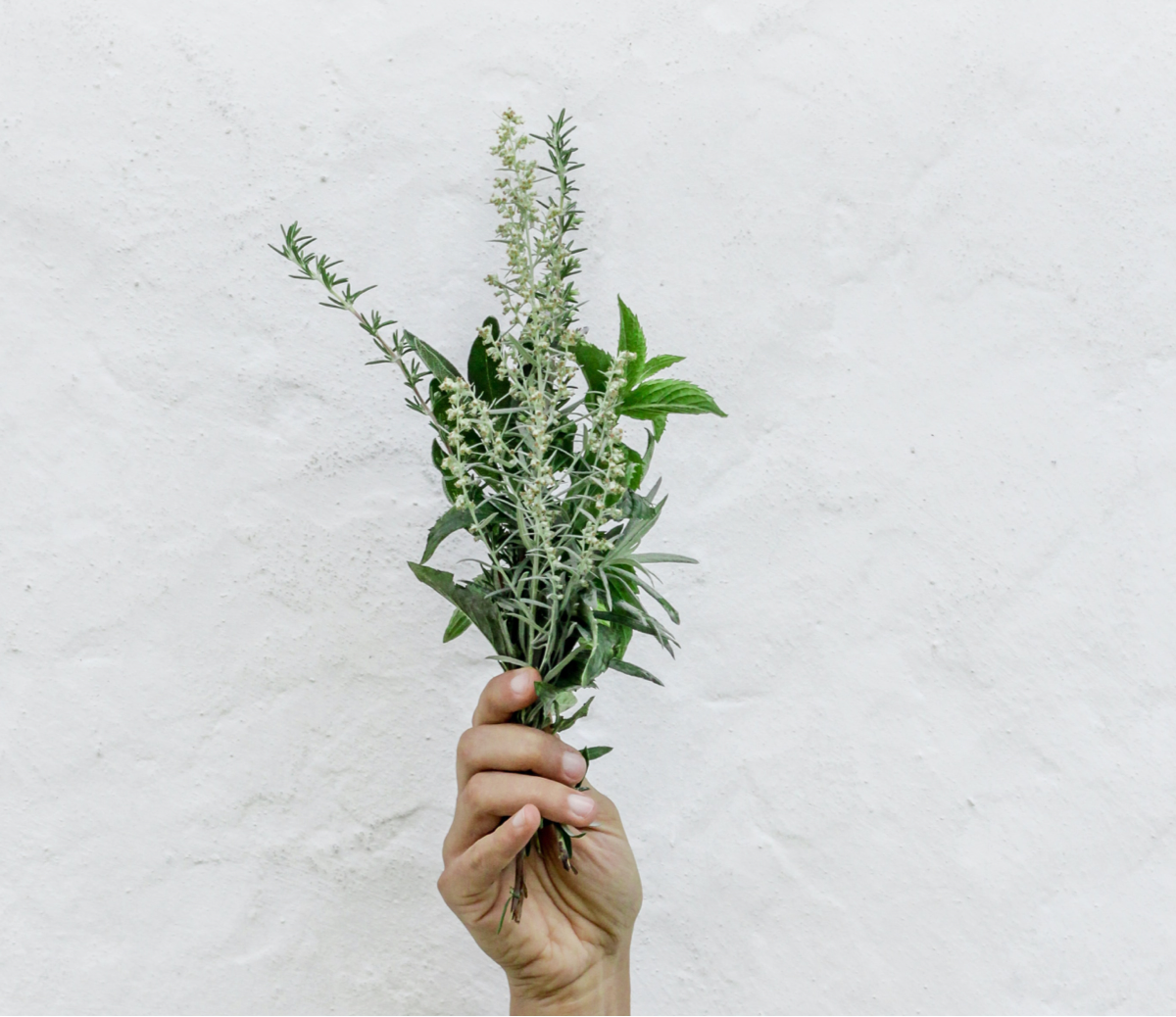 How To Apply Rosemary Oil To Your Scalp